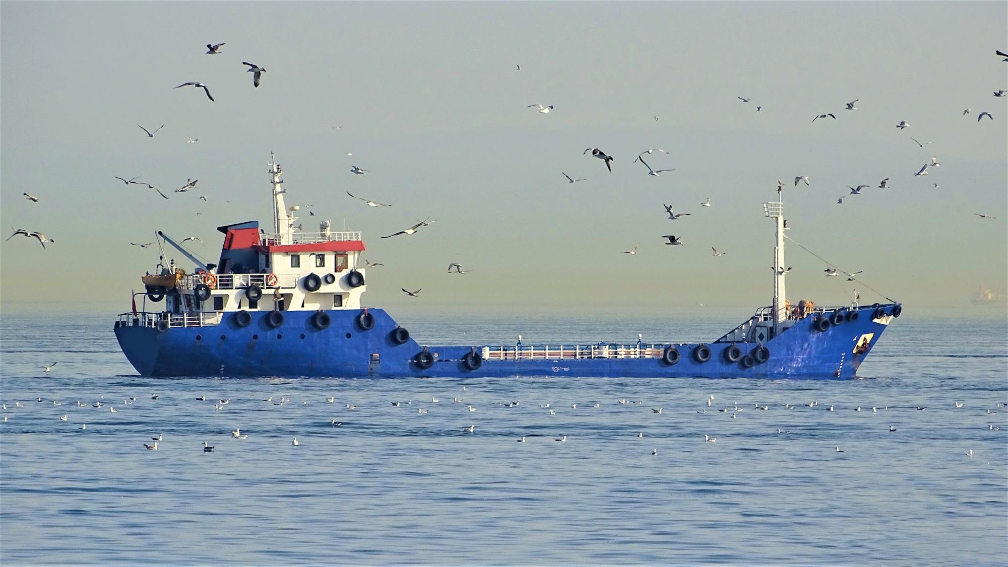 Go 1091 - Water Tanker - 50m