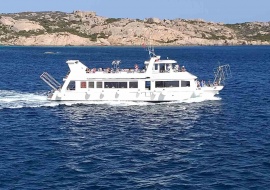 Go 1216 - Day Cruise Ship - 21m