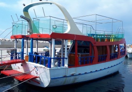 Go 1235 - Day Cruise Ship - 15m