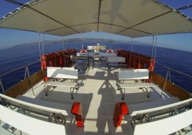 Go 1241 - Day Cruiser - 19m