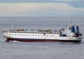 Go 1251 - Livestock Carrier - 83m