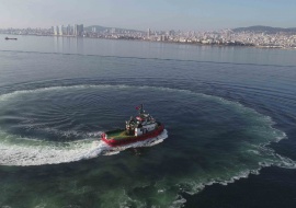 Go 1263 - Tug Boat - 23m