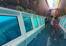 Go 1300 - Glass Bottom Boat - 28m