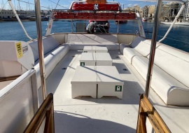 Go 1310 - Day Cruise Ship - 20m