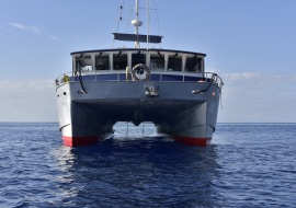 Go 1477 - Research Vessel - 16m