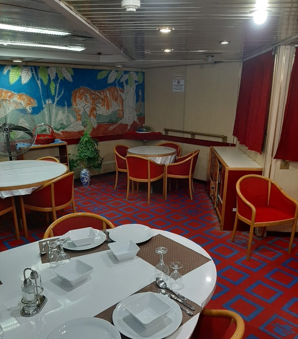 Go 1487 - Night RoPax Ferry - 147m