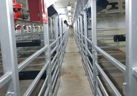 Go 0915 - Livestock Carrier - 86m