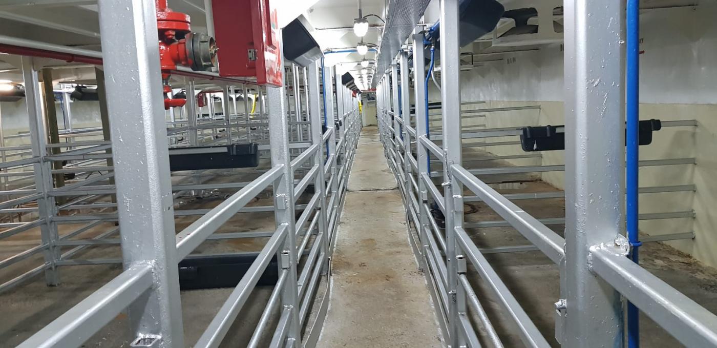 Go 0915 - Livestock Carrier - 86m